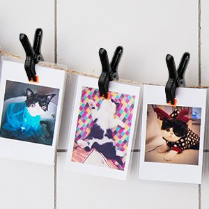 Spring clip for photography studio backdrop paper (small) - الصورة 3