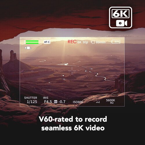 Lexar 256GB ARMOR GOLD UHS-II SDXC Memory Card - الصورة 6